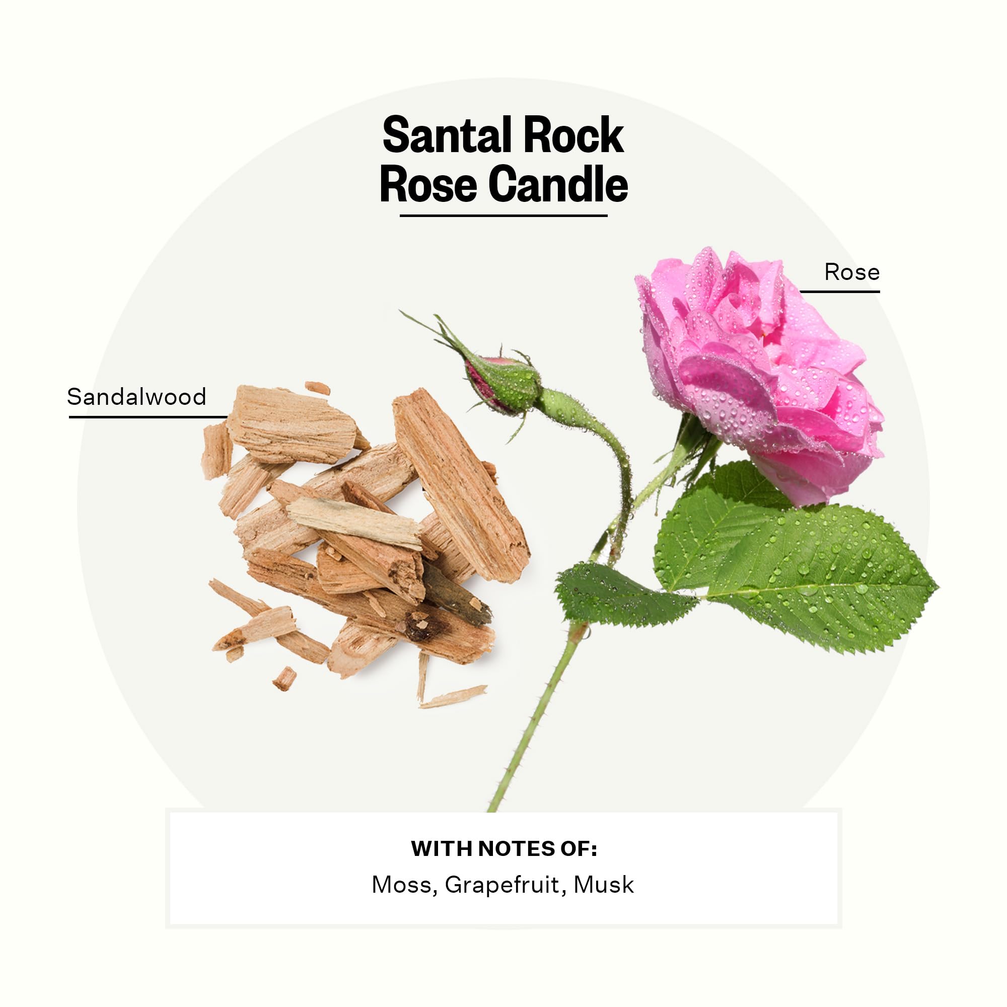 Apotheke 3-Wick Candles - Santal Rock Rose Scented Soy Wax Candles for Home, Spa & Relaxation | Long-Lasting Fragrance for Bedroom, Bathroom & Meditation