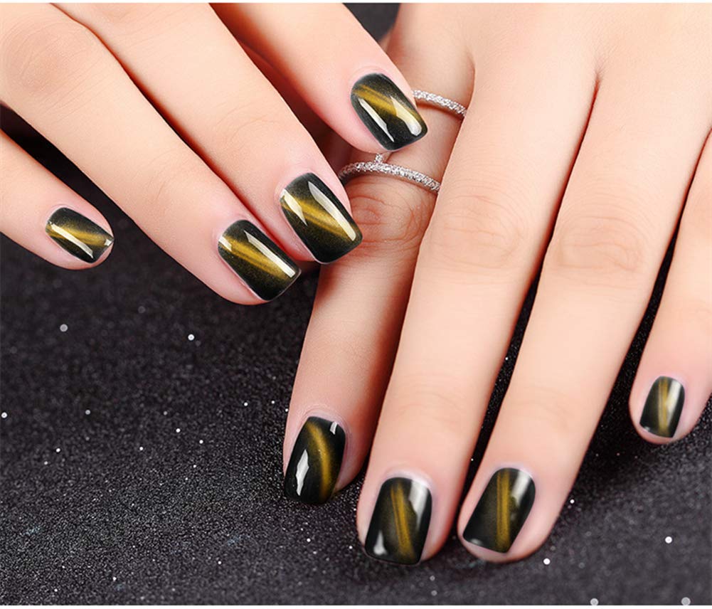 15Pcs Magnetic Nail Art Kit - Magnet Stick, Pen & Plates for 3D Cat Eye Gel Polish | DIY Manicure Tools for Home & Salon Use
