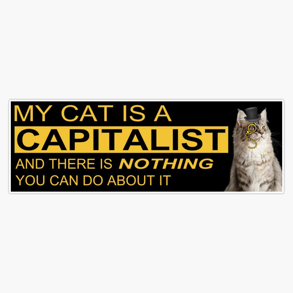Leyland Designs My Cat is A Capitalist Vinyl Sticker - 5