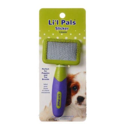 Li'l Pals Tiny Slicker Brush for Dogs & Cats - 15 Pack | Gentle Pet Grooming Brush for Small Animals | Perfect for Puppies, Kittens & Long-Haired Pets at Home or Professional Grooming
