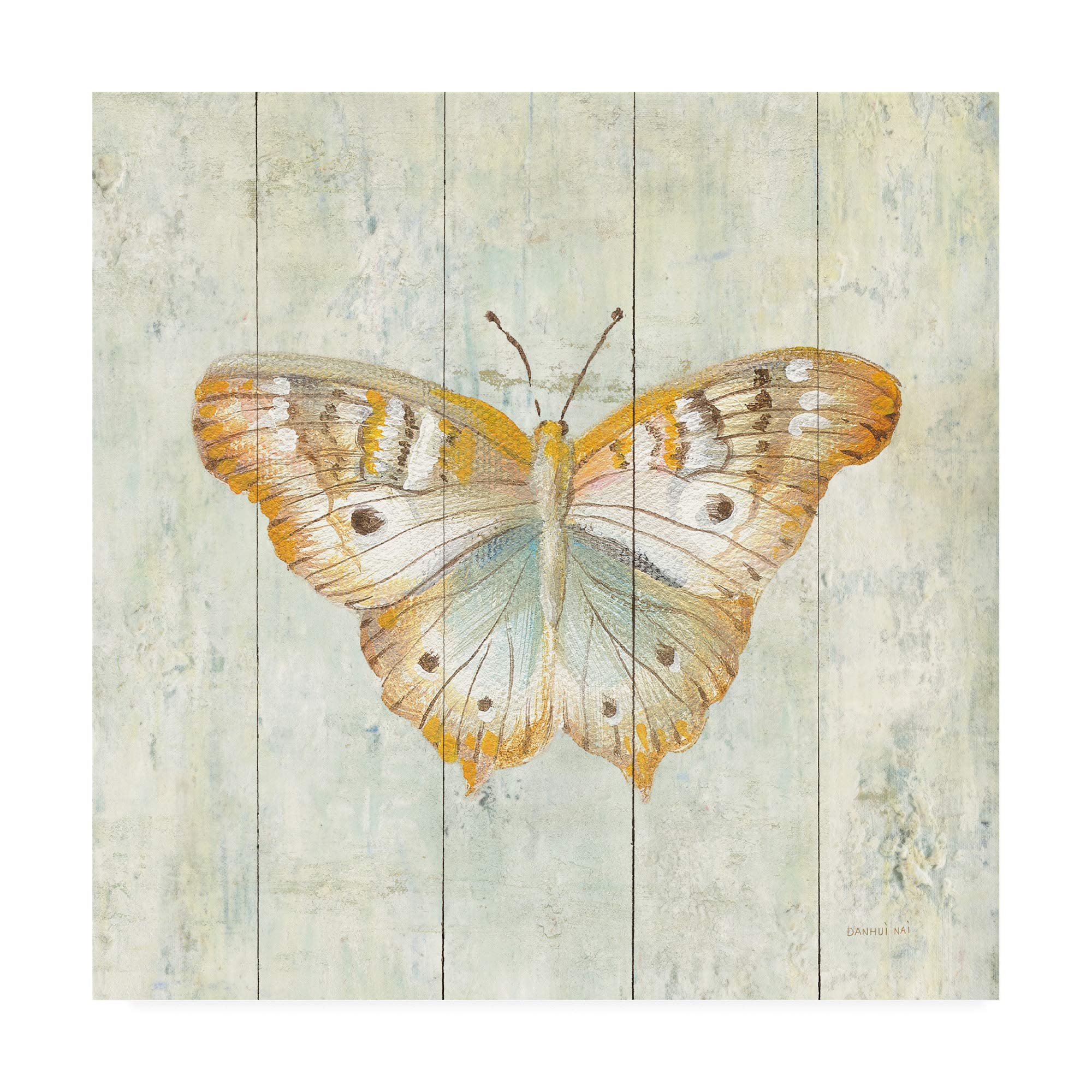 Danhui Nai Natural Flora VII Canvas Art Print - 18x18 Inches Floral Wall Decor for Living Room, Bedroom & Office