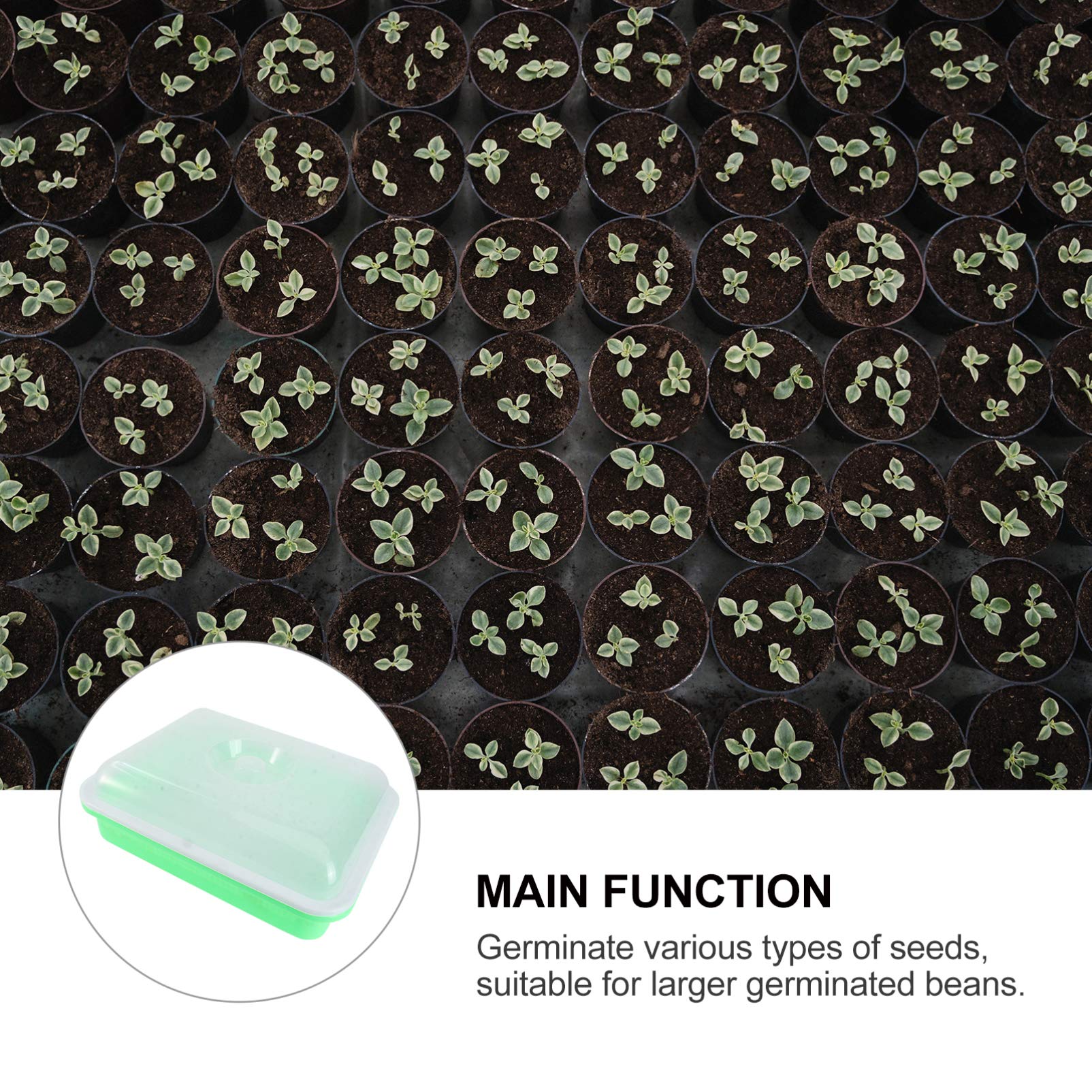 1Pc Insulated Vegetable Growing Tray - Seed Starter Container for Sprouts, Herbs & Microgreens | Water Planting Tray for Hydroponics, Kitchen Gardening & Indoor Plant Cultivation