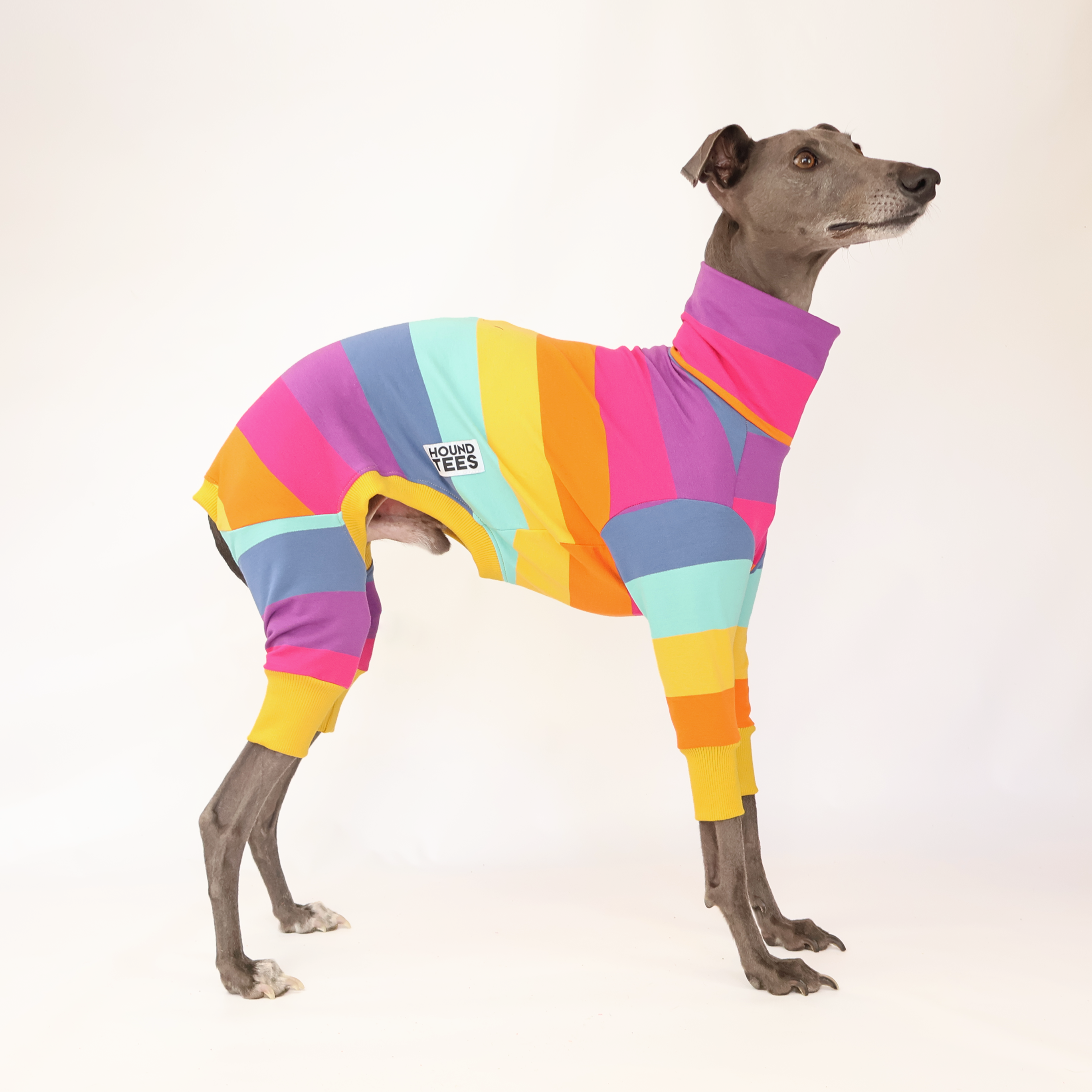 Lemon Meringue Whippet Long Johns - Soft & Comfortable Dog Pajamas for Small Breeds - Perfect for Cold Weather & Indoor Lounging