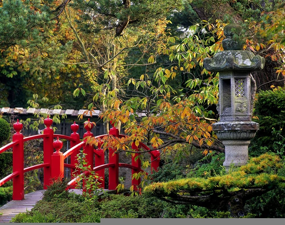 Vintage Red Bridge & Japanese Lantern Autumn Garden Poster - Large 32x24 Inch Wall Art Decor for Home, Office & Zen Spaces | Ireland Landscape Print by The Irish Image Collection