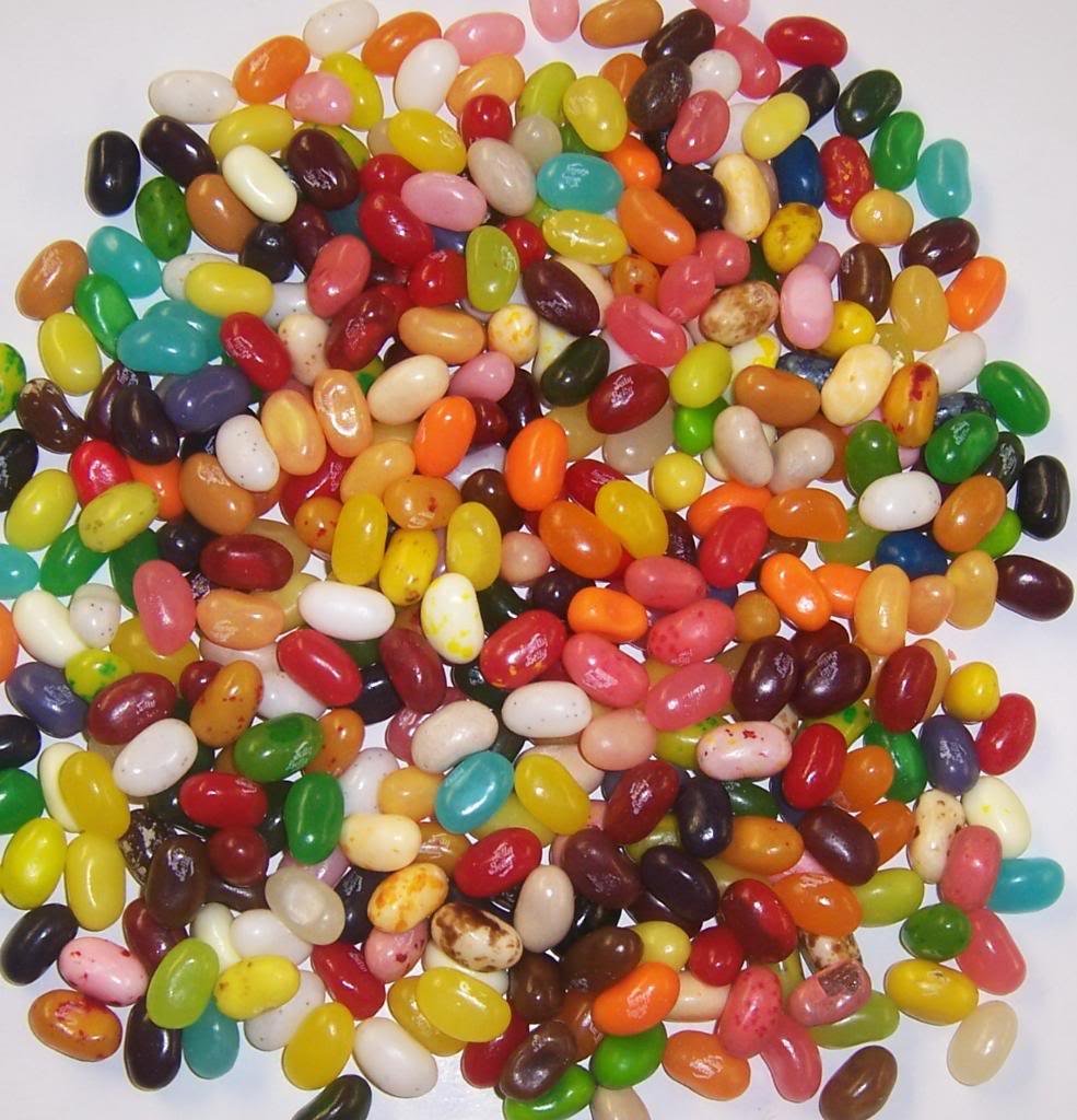 Scott's Cakes 49 Flavors Assorted Jelly Belly Jelly Beans - 4lb Bulk Candy Bag for Parties, Halloween Treats & Gift Baskets