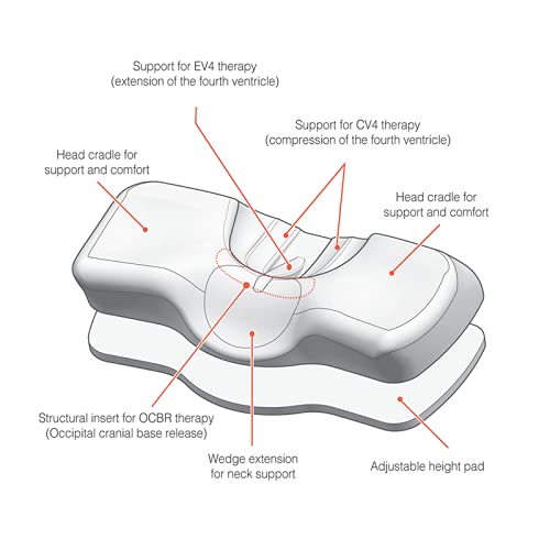 Andante Orthopedic Memory Foam Pillow - Neck Pain Relief & Posture Support Pillow for Side, Back & Stomach Sleepers - Ergonomic Cervical Pillow for Better Sleep & Spinal Alignment