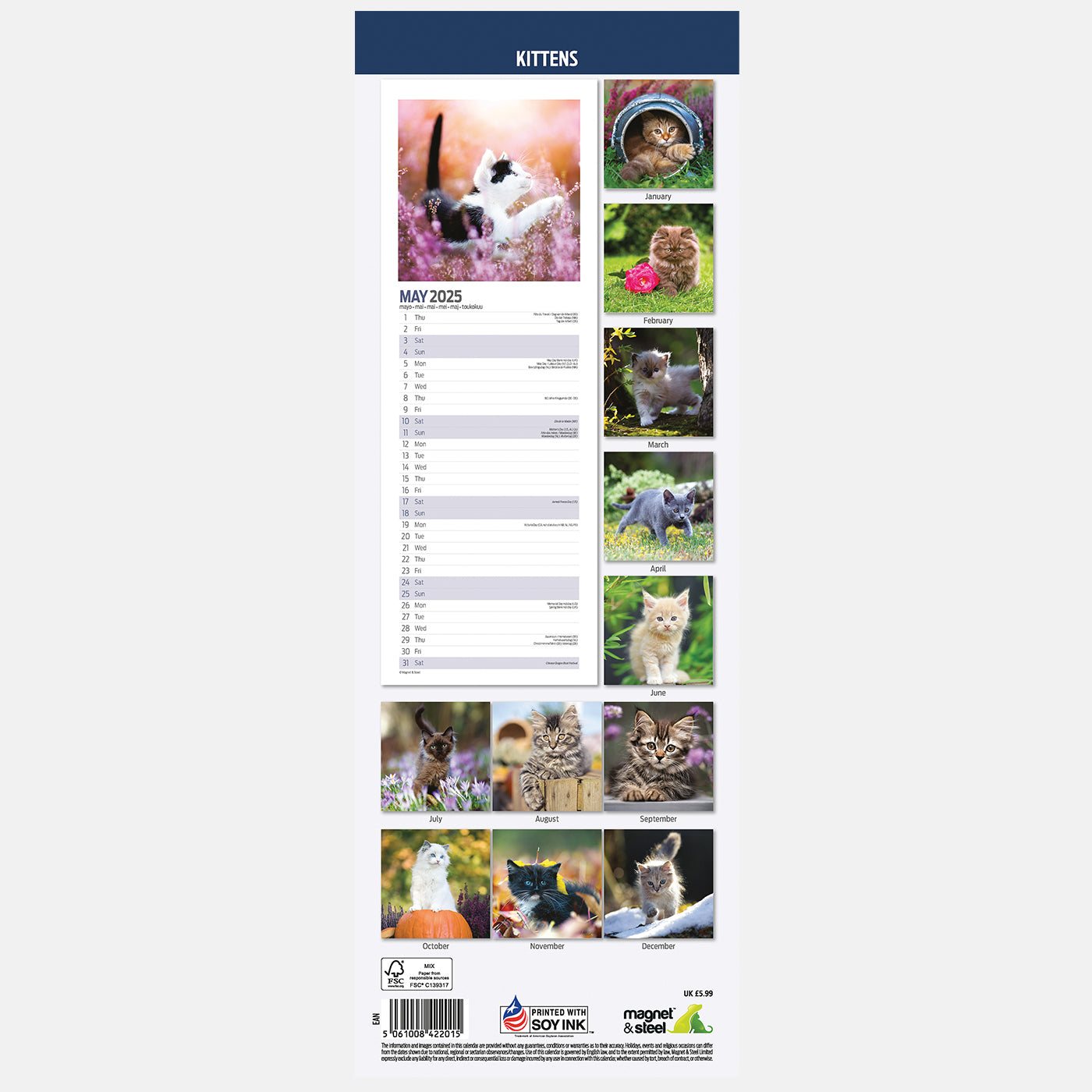 2025 Kittens Slim Wall Calendar - Cute & Minimalist Cat Lovers Planner for Home, Office & School Organization