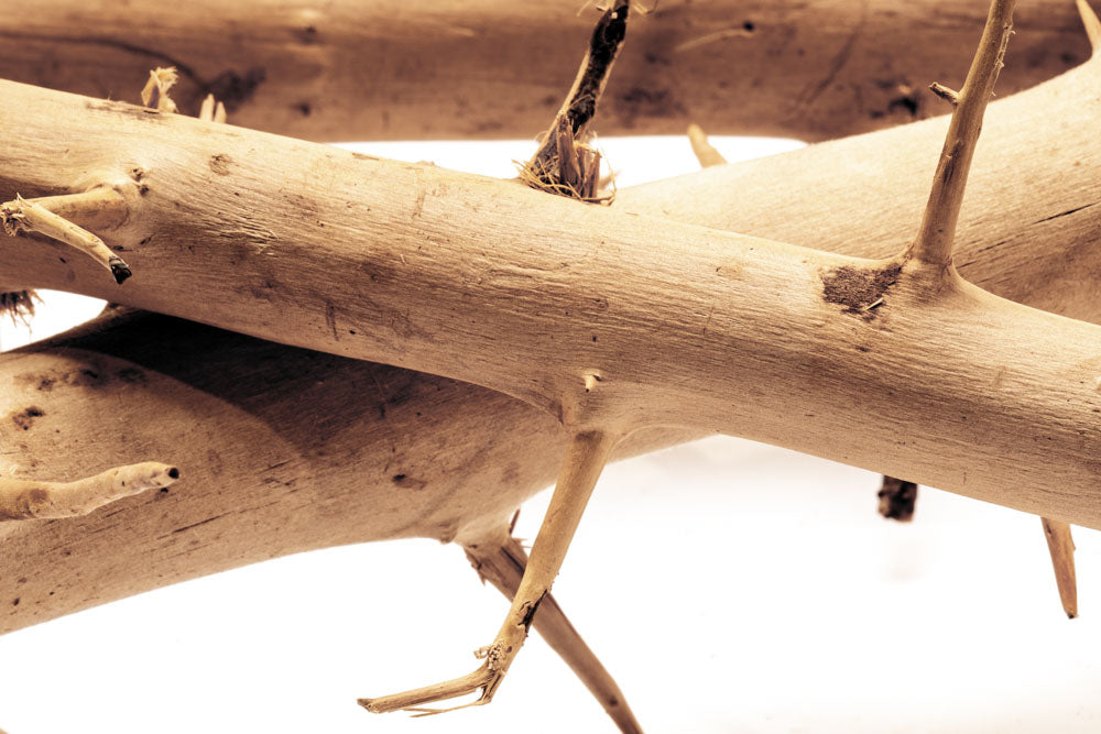 Premium Thorn Wood for DIY Crafts, Home Decor, and Woodworking Projects – Perfect for Rustic Furniture, Wall Art, and Handmade Gifts