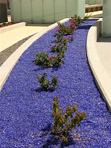 Premium Chunky Yellow Landscape Glass - 50 Lb Bag for Decorative Garden Rocks, Pathways & Aquariums | Durable Outdoor & Indoor Decorative Stones