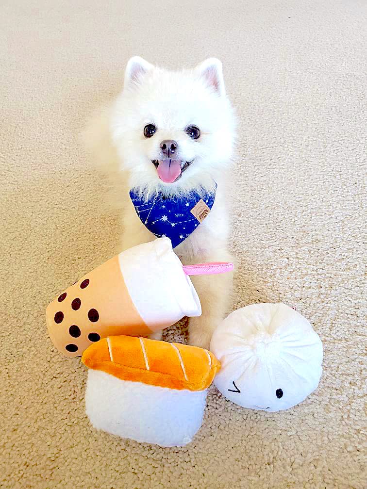 TONBO Cute Plush Dog Toys - Boba Time Combo Set for Small & Medium Dogs | Soft Chew Toy for Puppies | Perfect for Playtime, Cuddling & Training Rewards