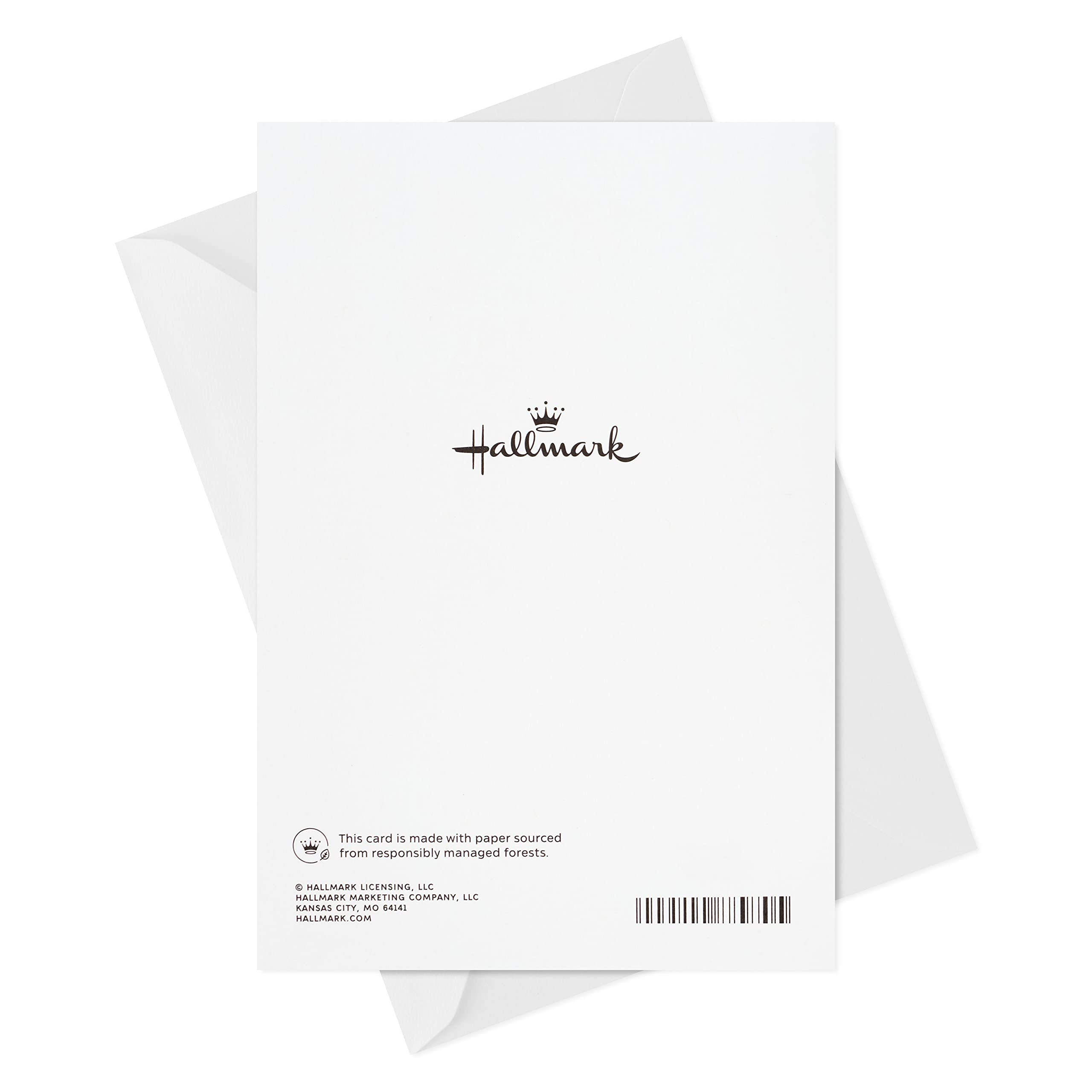 Hallmark Father's Day Card for Family - Dad, Son, Grandpa - Perfect Gift for Family Occasions