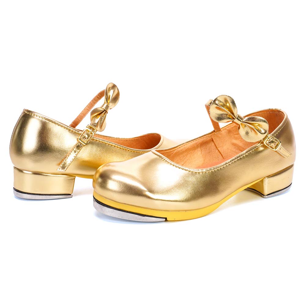 HROYL Kids Tap Shoes for Boys & Girls - TL208/258 for Dance & Performance