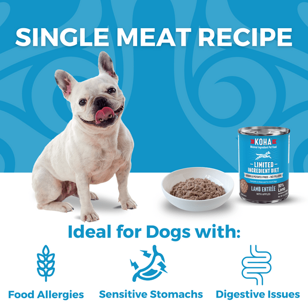 KOHA LID Lamb Entrée Canned Dog Food - Grain-Free, High-Protein Wet Food for Dogs - Perfect for Sensitive Stomachs & Picky Eaters - Great for Mealtime, Training Treats & Travel Feeding