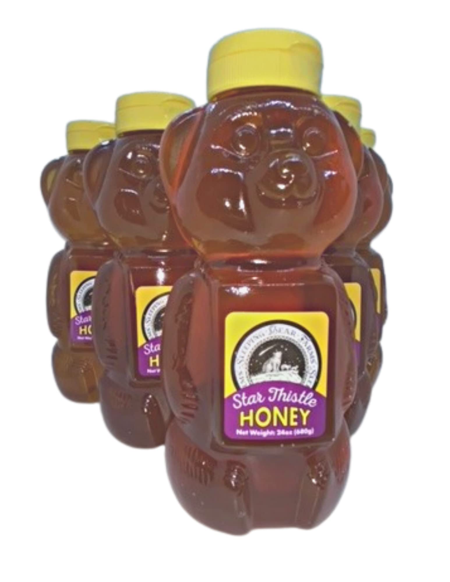 Pure Michigan Star Thistle Honey - 24 Oz (Case of 12) | Raw, Unpasteurized & Unblended | No Additives | Perfect for Tea, Baking & Natural Remedies