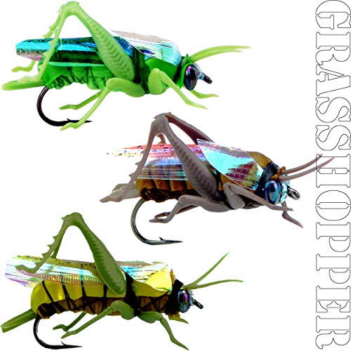 Grasshopper