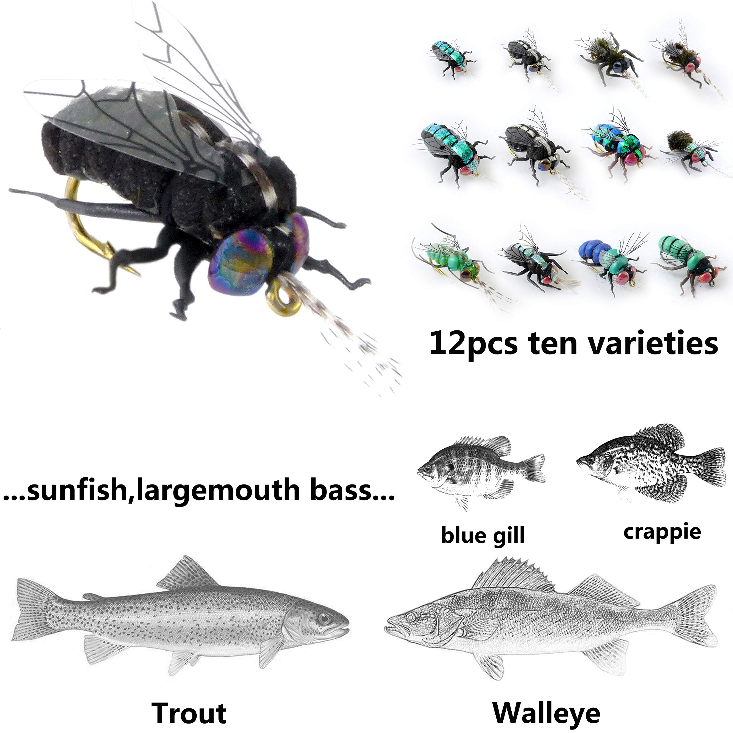 Premium Fly Fishing Flies Kit with Fly Box - Assorted Nymphs, Dry Flies, Wet Flies & Streamers - Realistic Hand-Tied Flies for Trout, Bass & Salmon - Perfect for Freshwater & Saltwater Fishing Adventures