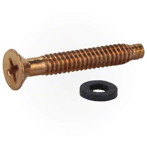 Pentair 79104800 Replacement Brass Pilot Screws with Gum Washers for Pool Light - Durable Pool Maintenance Parts for Inground & Above Ground Pools