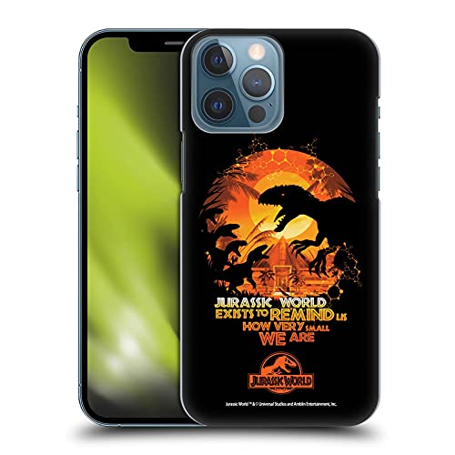 Raptors Silhouette