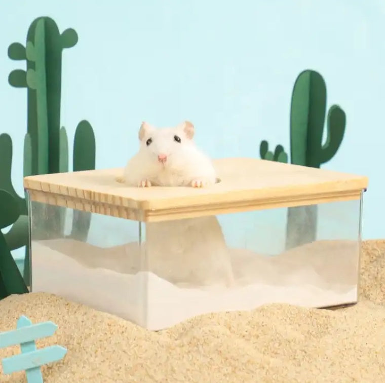 Premium Acrylic Sand Bath for Reptiles & Small Pets - Transparent Habitat for Bearded Dragons, Geckos & Snakes - Ideal for Basking, Digging & Natural Behavior Stimulation