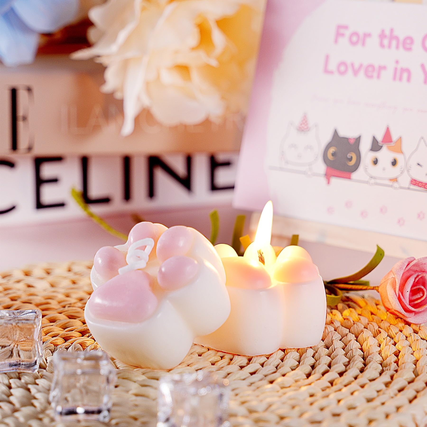 Best Cat Lifts Gift Box for Women - Cute Cat Themed Presents for Cat Lovers, Mom, Wife, Daughter & Friends (Pink -090) | Perfect for Christmas, Birthday & Mother's Day Gifts | Home Decor & Pet Lover Accessories