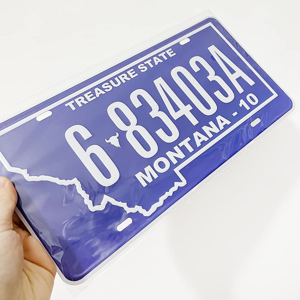 Replica License Plate Bundle - Embossed All 50 States Car Plates for Home Bar, Wall Decor, Garage & Man Cave - Perfect for Automotive Enthusiasts & Unique Gift Ideas