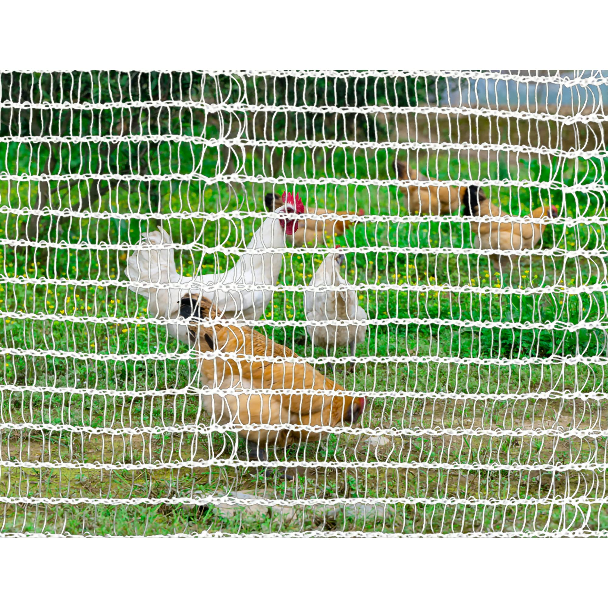ALION HOME Durable Garden Plant Netting - 14x20 FT Bug & Bird Protection for Fruits, Flowers, Vegetables | UV-Resistant Insect Barrier for Pond, Pool & Backyard Gardening | Floating Protective Cover for Outdoor Plants