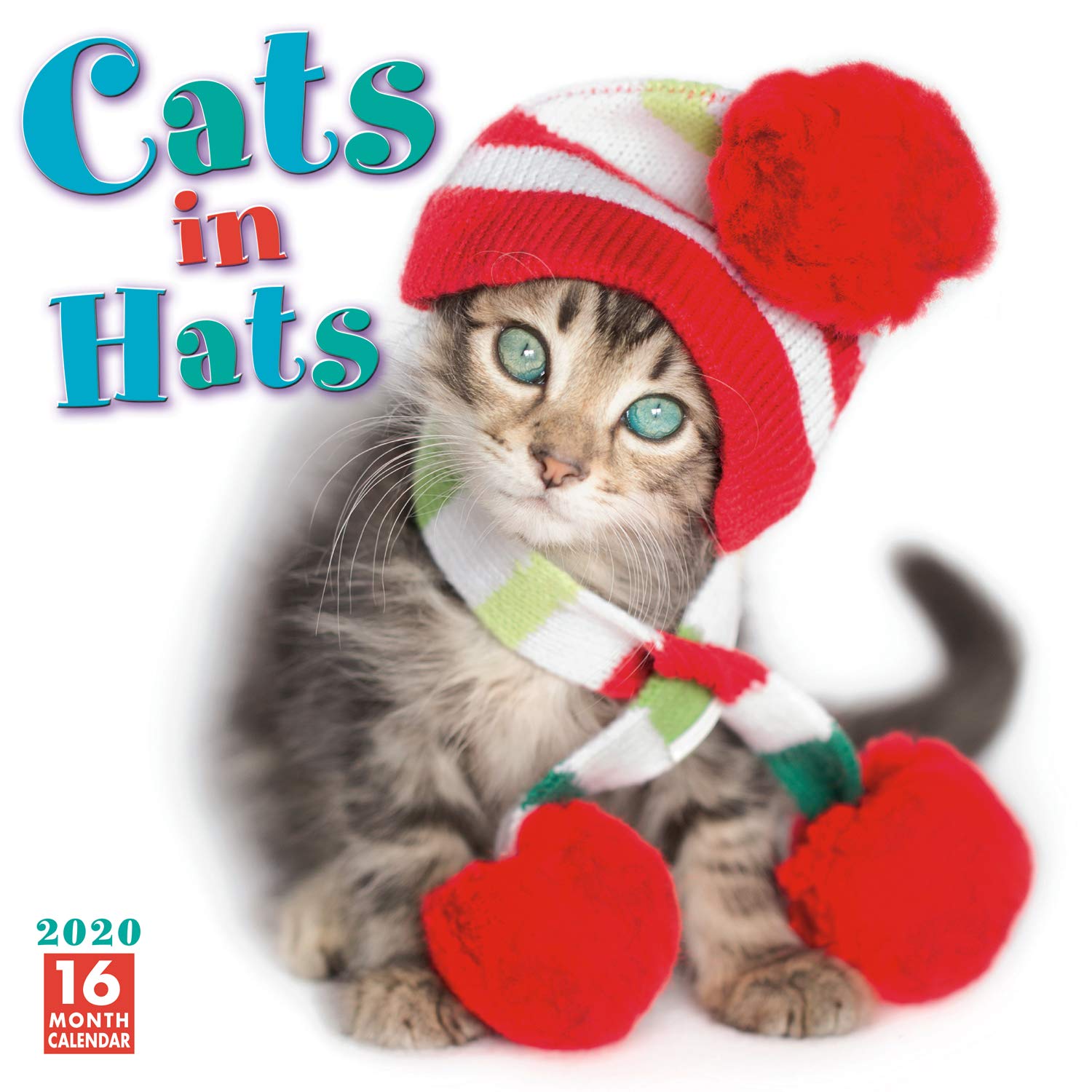 2020 Cats in Hats Wall Calendar - Perfect for Pet Lovers & Home Decor