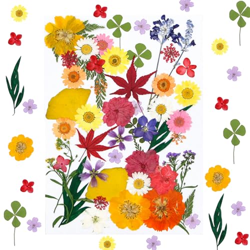 Colorful a