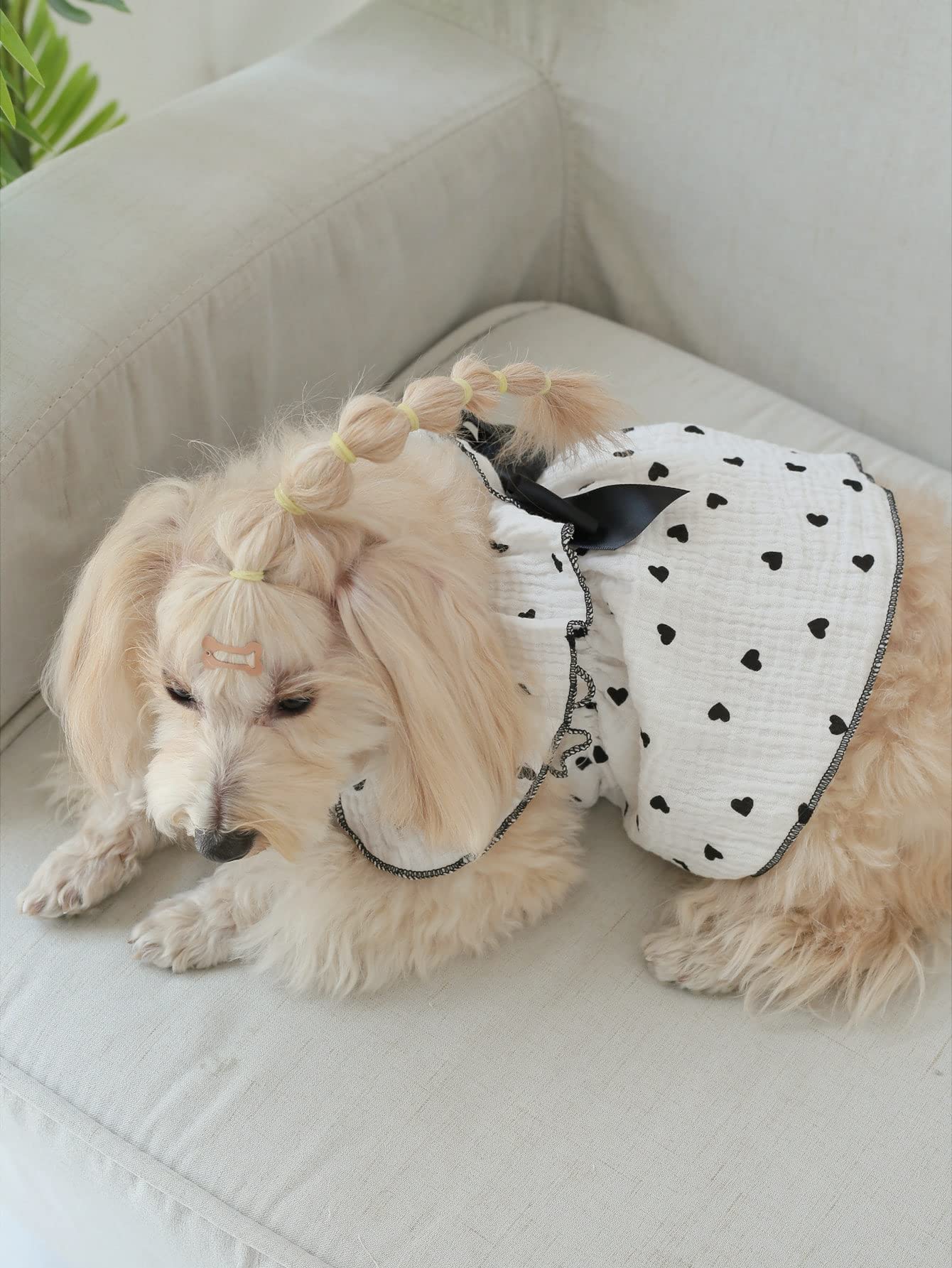 Cute Heart Print Dog Dress with Bow - Puppy Tutu Skirt for Chihuahua, Teddy & Pomeranian - Birthday & Holiday Pet Costume for Small, Medium & Large Dogs (Black, Medium) - Perfect for Parties, Photo Shoots & Special Occasions