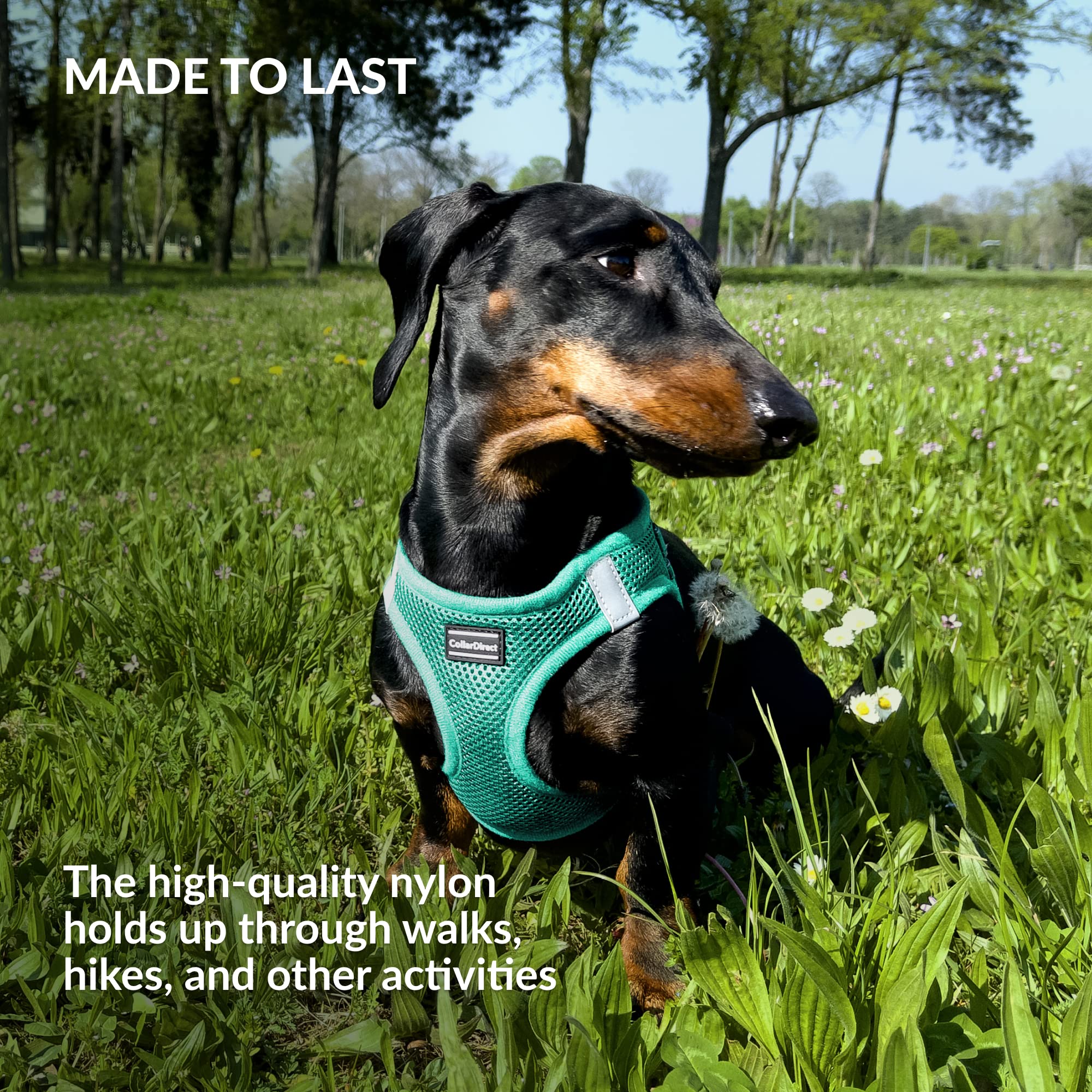 Step-in Reflective Dog Harness for Small & Medium Dogs - Breathable Air Mesh, Easy On/Off, All-Weather Comfort (Size M, Light Green) - Perfect for Night Walks, Jogging & Outdoor Adventures