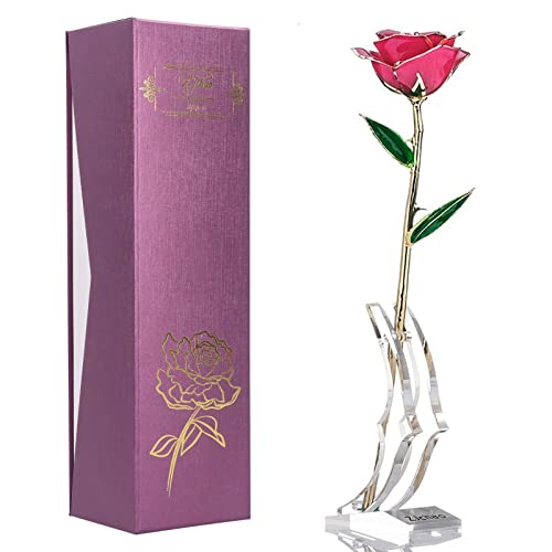 Pink Rose