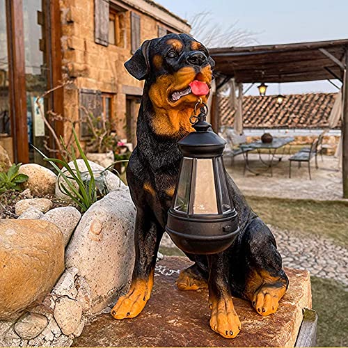 Rottweiler a