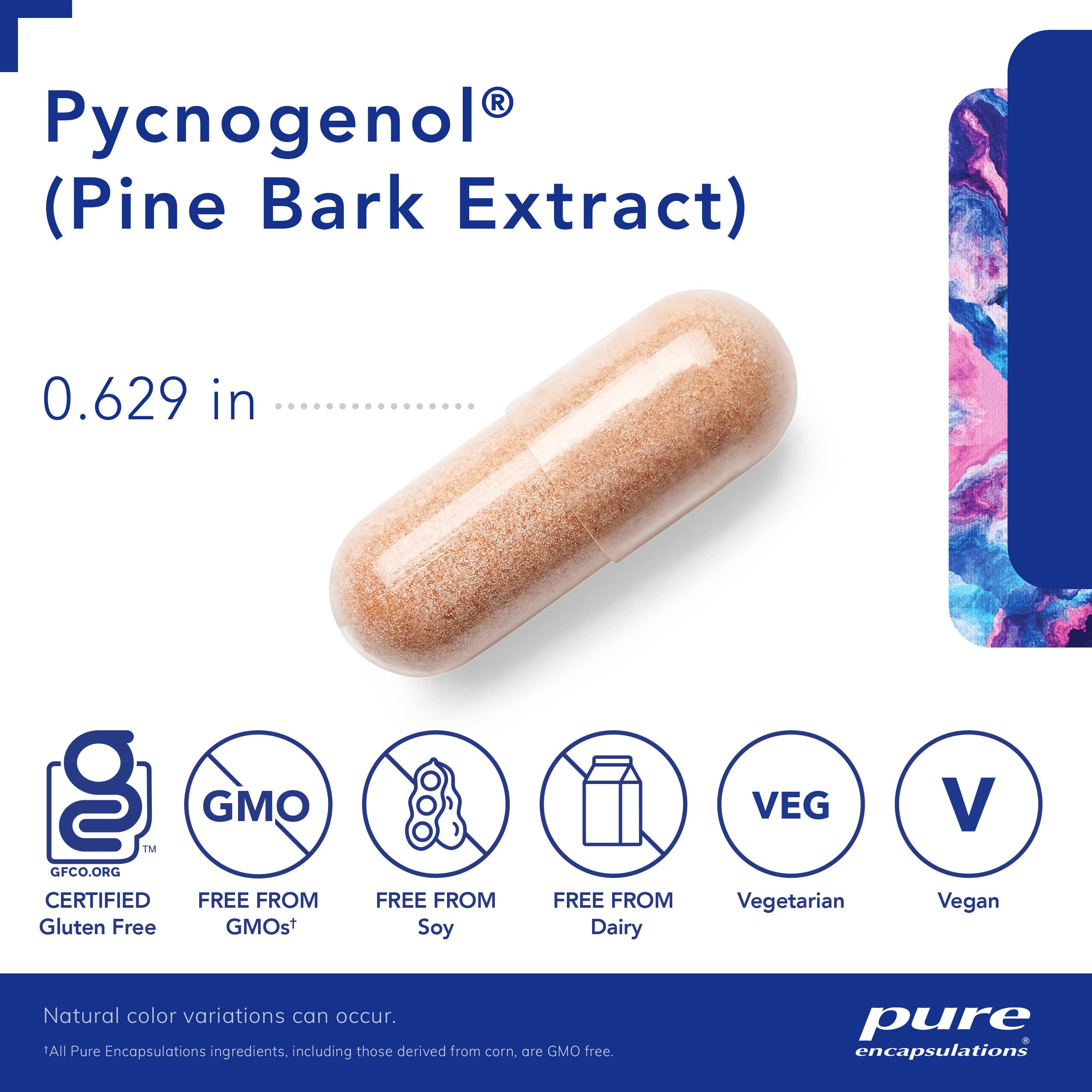 Pure Encapsulations Pycnogenol 50mg (Pine Bark Extract) - 120 Capsules | Hypoallergenic Supplement for Brain Health, Memory Support & Heart Circulation | Antioxidant-Rich Cognitive Booster for Students, Professionals & Seniors | Supports Cardiovascular Wellness & Mental Clarity