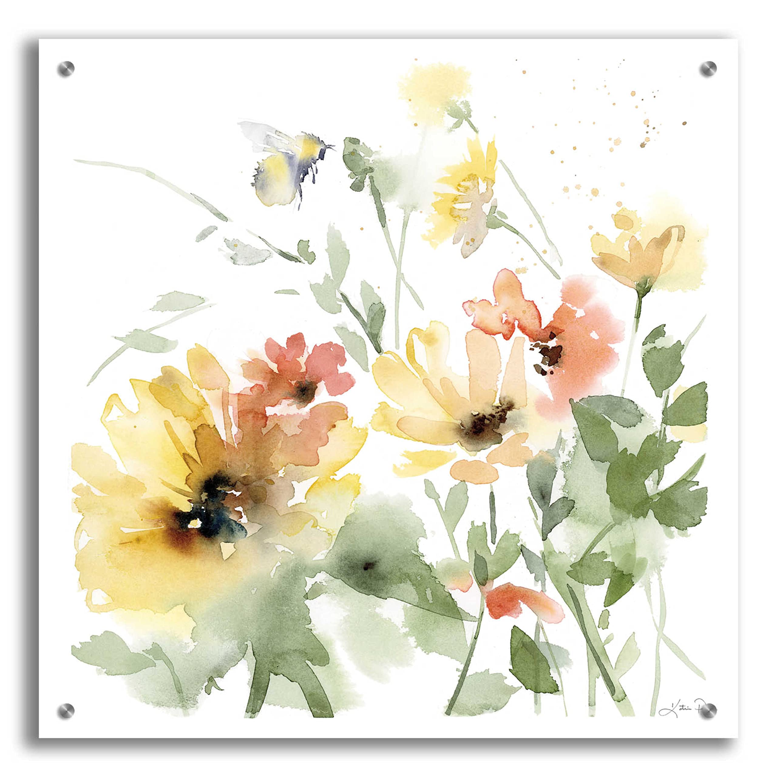 Epic Art 'Sunflower Meadow I' by Katrina Pete - 24x24 Inch Vibrant Acrylic Glass Wall Decor - Perfect for Living Room, Bedroom & Office Decorations