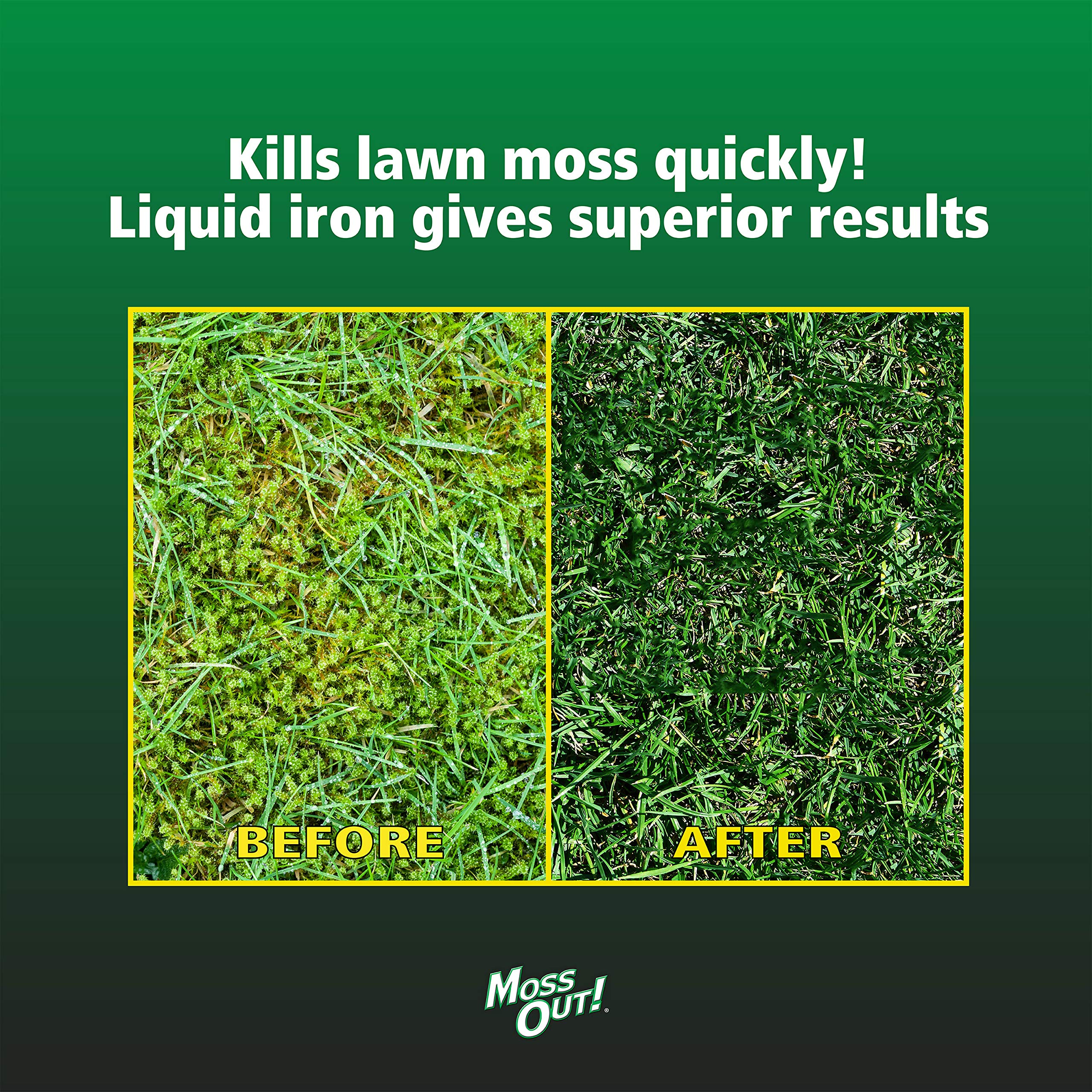 Lilly Miller Moss Out for Lawns Ready-to-Spray 32oz (1-Pack) | Fast-Acting Moss Killer | Safe for Grass | Ideal for Shady Areas, Roofs & Driveways