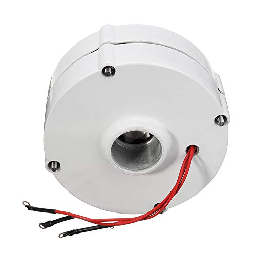 6000W 12V/24V DIY 3 Phase PMSG Brushless Wind Turbine Generator - Permanent Magnet Alternator Motor for Home, RV & Off-Grid Power (12V/24V) - Perfect for Renewable Energy Systems & Emergency Backup Power