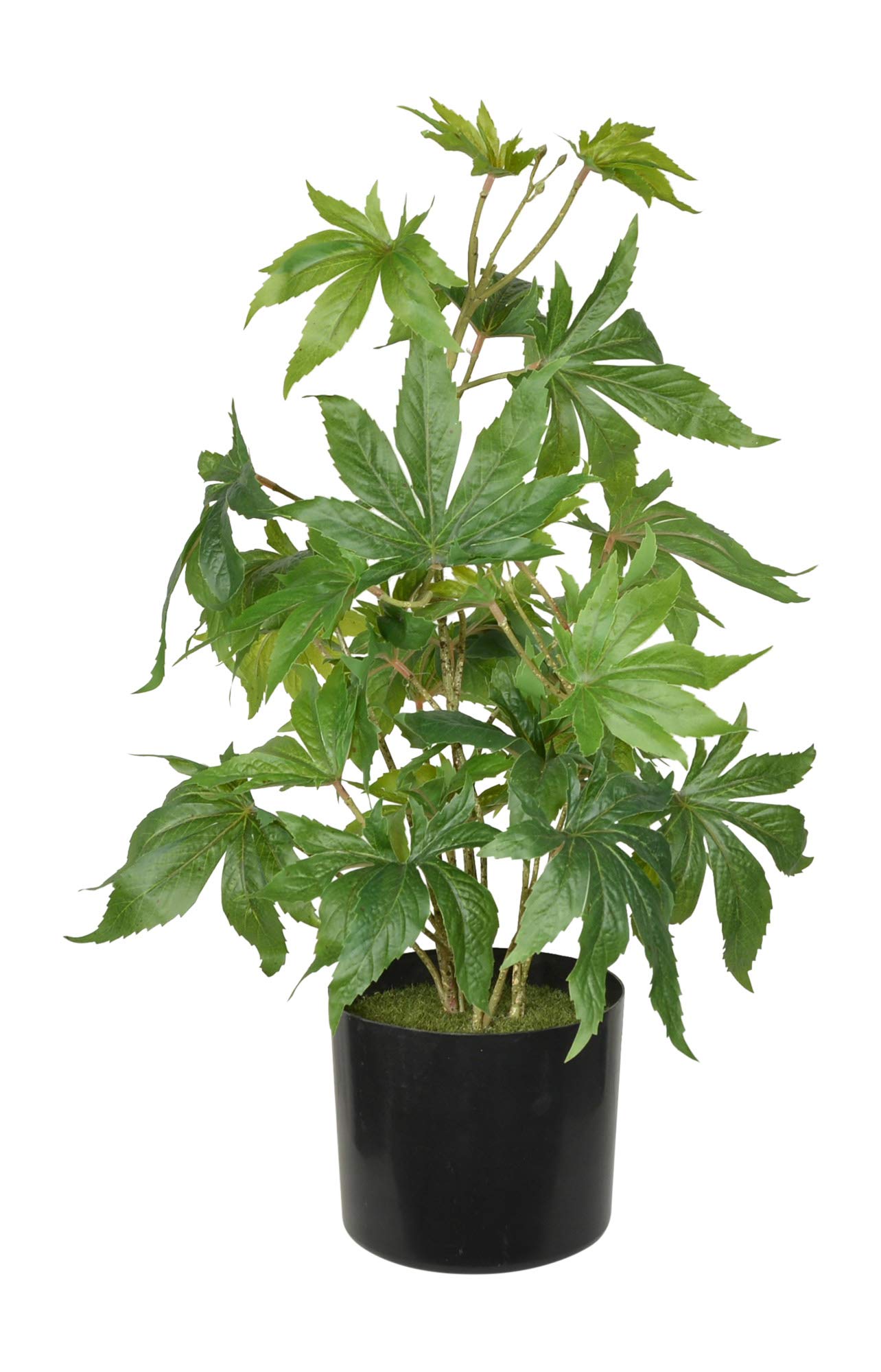 24 Inch Realistic Artificial Marijuana Plant - Lifelike Fake Cannabis Potted Plant for Home Decor, Office, and Party Decoration | Indoor & Outdoor Use