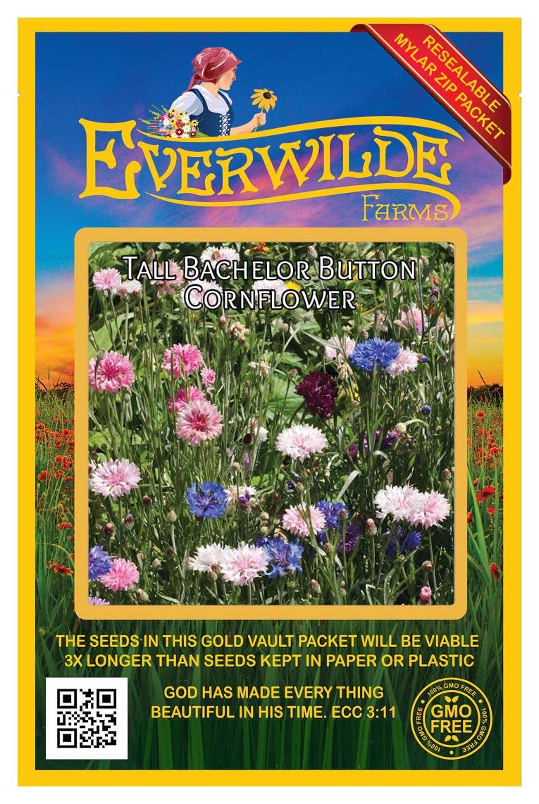 500 Tall Mixed Cornflower Wildflower Seeds - Premium Gold Vault Jumbo Seed Packet by Everwilde Farms - Perfect for Garden Beds, Borders & Pollinator-Friendly Landscapes