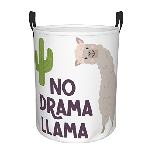 Cute Llamas Alpaca With Cactus