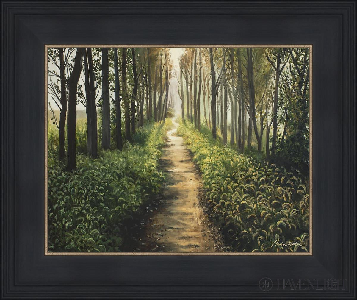 Forest Walkway - Beautiful Wooden Pathway for Gardens, Parks & Trails | Perfect for Outdoor Decor & Nature Walks