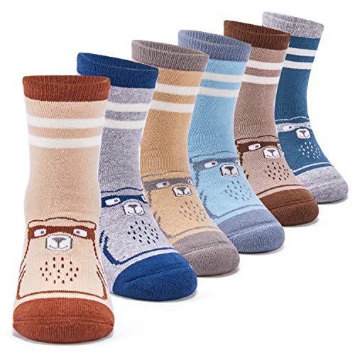Bear 6 Pairs