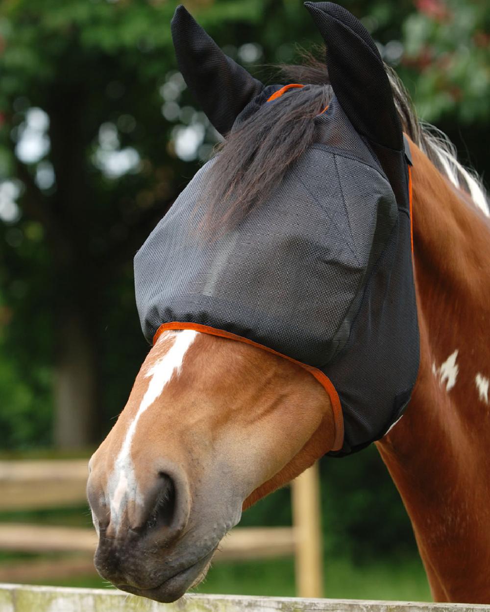 Equilibrium Field Relief Midi Fly Mask & Ears for Horses - UV Protection & Insect Shield - Perfect for Riding, Training, and Pasture Use