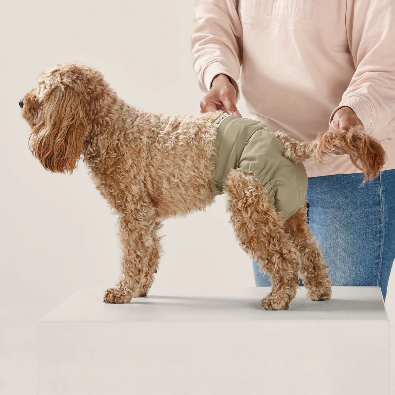 Washable Female Dog Diapers - Reusable Twin Pack for Incontinence & Heat, Perfect for Indoor Use & Travel