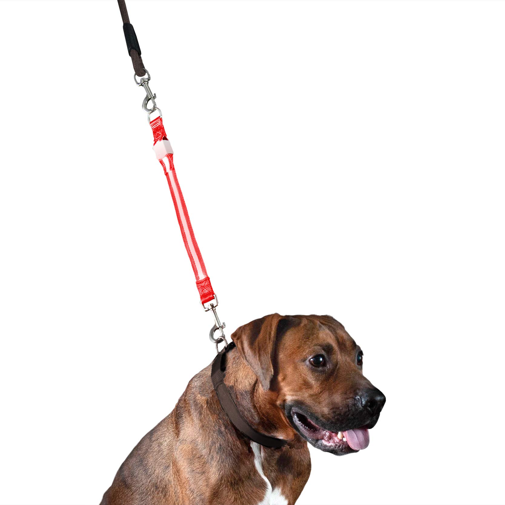Furhaven Pet Hands-Free Bungee Dog Leash with LED Collar, Leash Extender & Seat Belt Clip - Adjustable Vest Harness for Active Dogs & Cats - Multiple Colors & Sizes - Perfect for Walking, Running, Hiking & Car Safety
