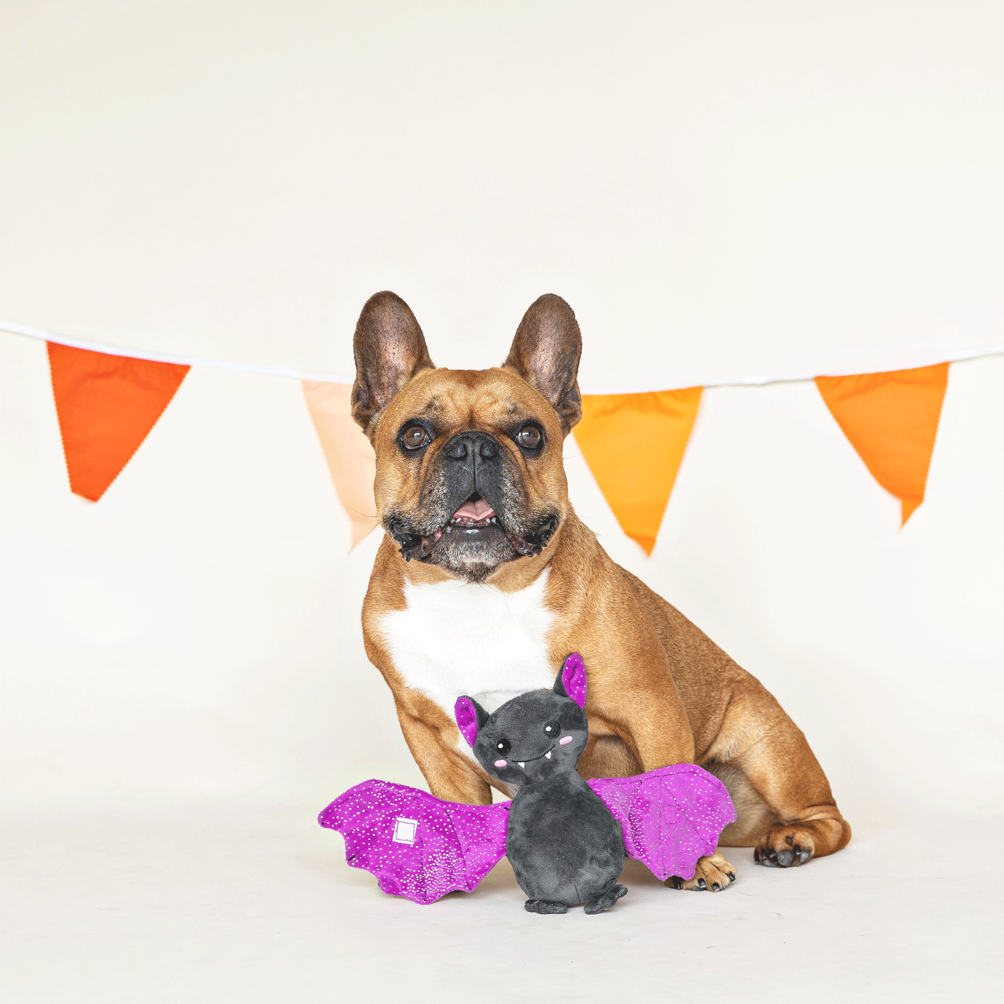 Fringe Just Wingin' It Dog Toy - Durable Chew Toy for Small & Medium Dogs - Perfect for Playtime, Training & Outdoor Adventures