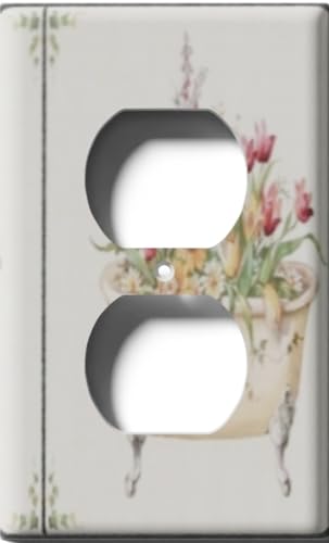 Single Duplex Outlet