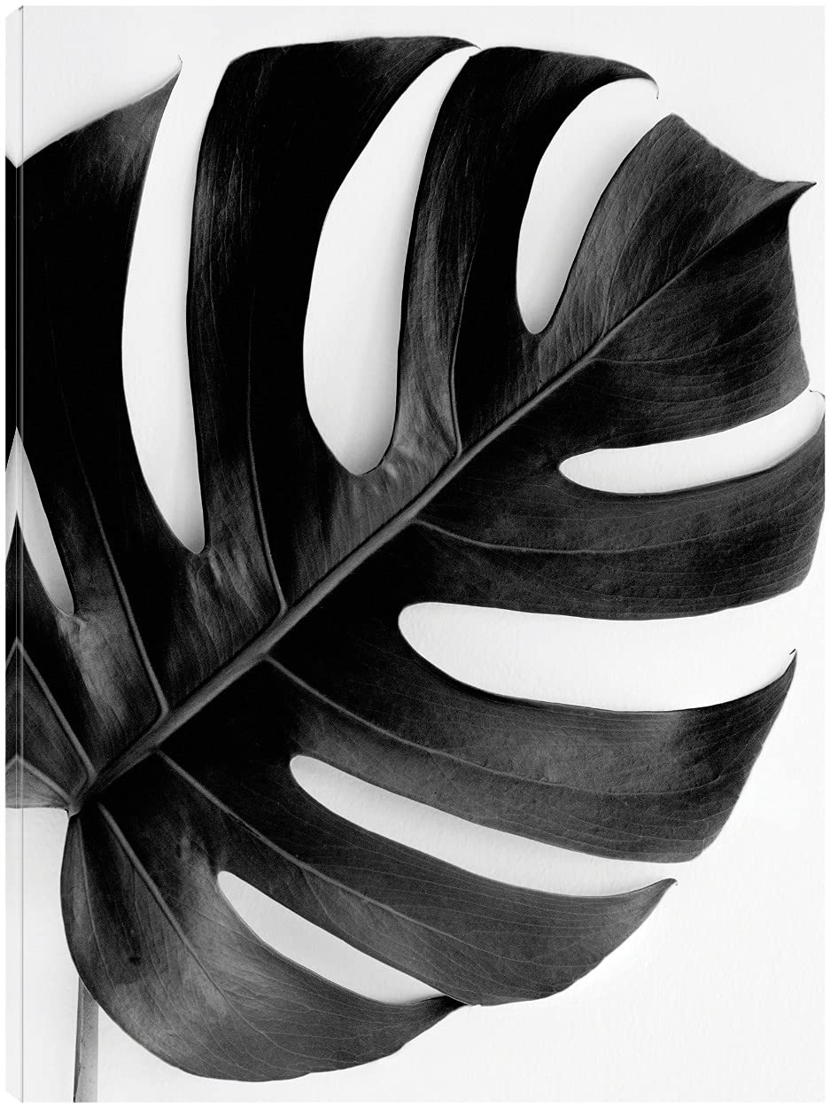 Monstera Solo Noir Fine Art Canvas Wall Decor by Irene Suchocki - 42x56 Inches - Ready to Hang for Living Room, Bedroom, Office & More - Tropical Plant Painting for Modern Home & Office Decor