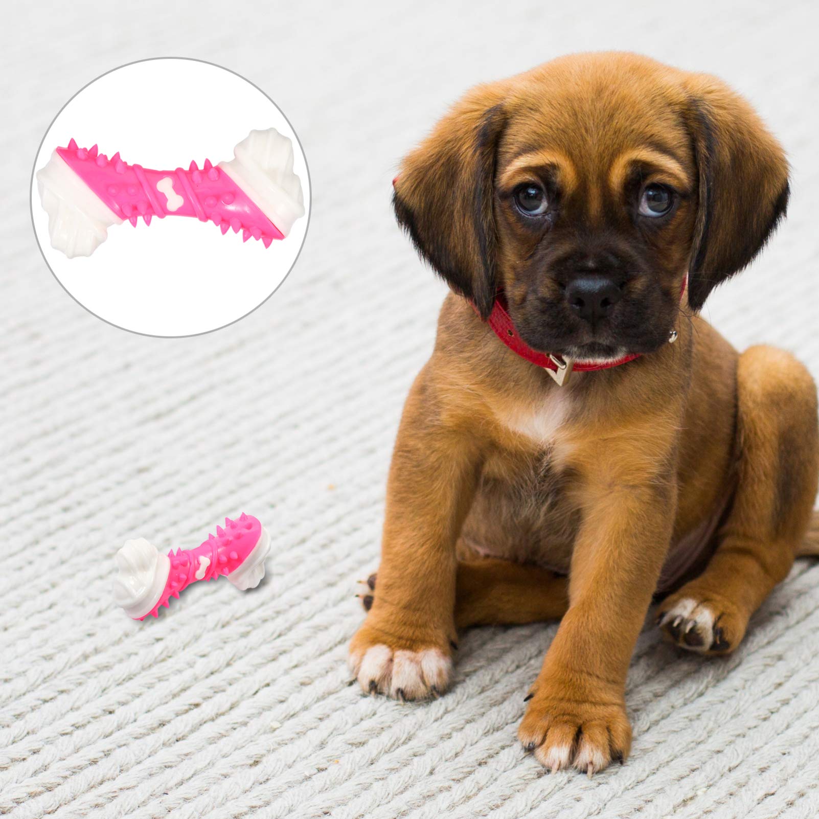 Balacoo Dog Chew Toys for Teething Puppies - Durable Pet Chew Bone & Chewing Stick for Small & Large Dogs - Puppy Teething Relief & Dental Health - Great for Christmas Gifts & Playtime (Pink)