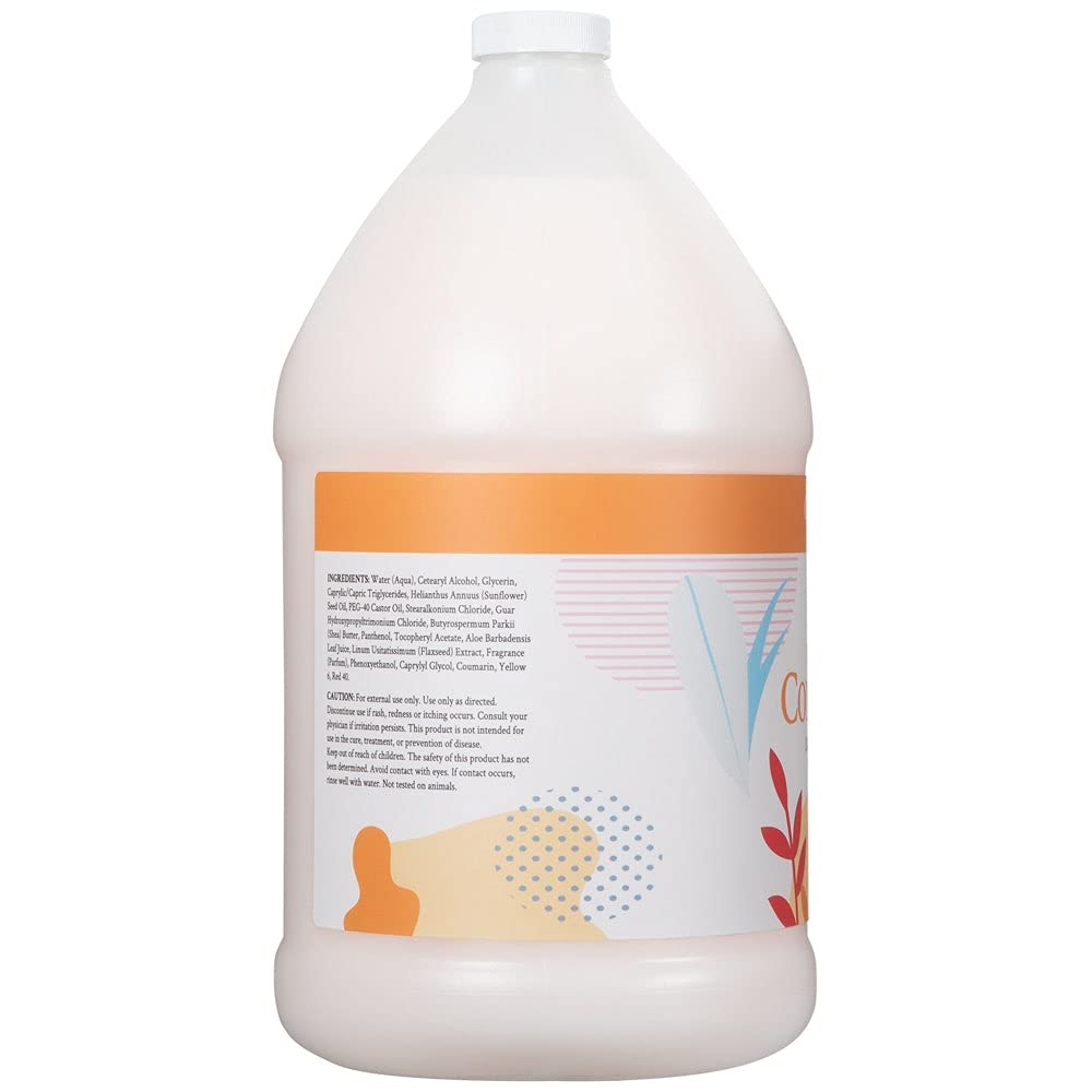 Ginger Lily Farms Botanicals Deep Moisturizing Conditioner for Dry Damaged Hair - Coconut Mango Scented 100% Vegan Cruelty-Free Hair Treatment - 1 Gallon Refill Pack of 4 - Perfect for Salons, Spas & Home Hair Care Routines