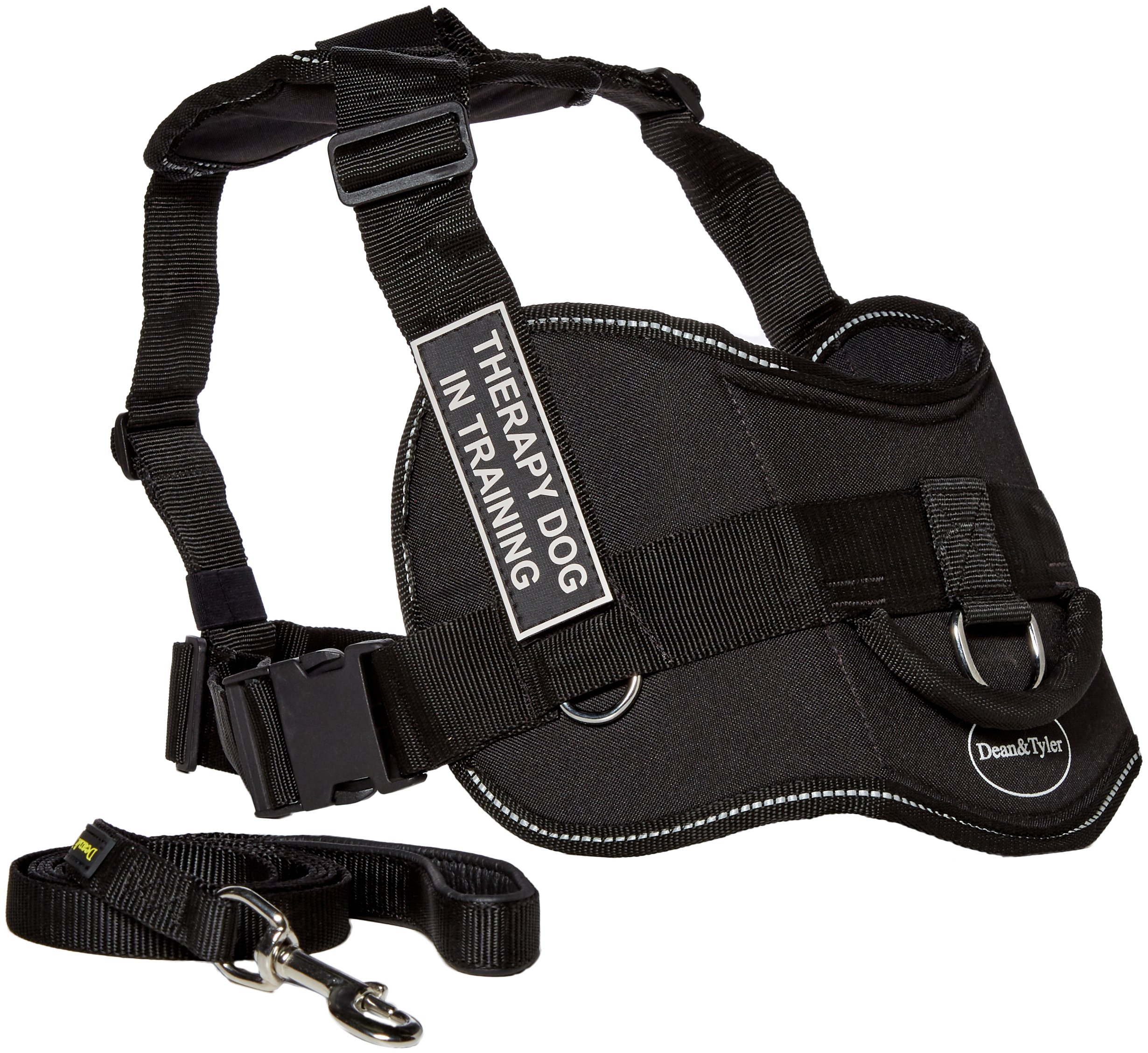 Dean & Tyler DT Fun Chest Support Therapy Dog in Training Harness - X-Large Size with 6ft Padded Puppy Leash for Service Dog Training, Emotional Support Pets & Outdoor Adventures